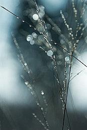 《蓝色反射：帝》全新TVCM展示少女组合和奇异世界